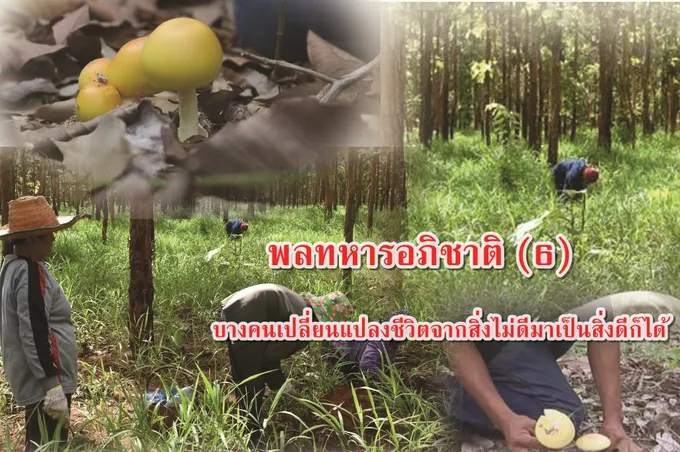 พลทหารอภิชาติ (6)