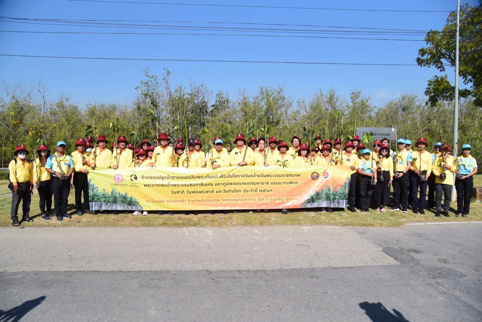 MEA จัดกิจกรรมปลูกป่าชายเลนเฉลิมพระเกียรติ 