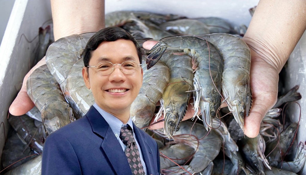 นักวิชาการชวนคนไทยบริโภคกุ้ง สุดยอดโปรตีนคุณภาพดีและมีโอเมก้า-3
