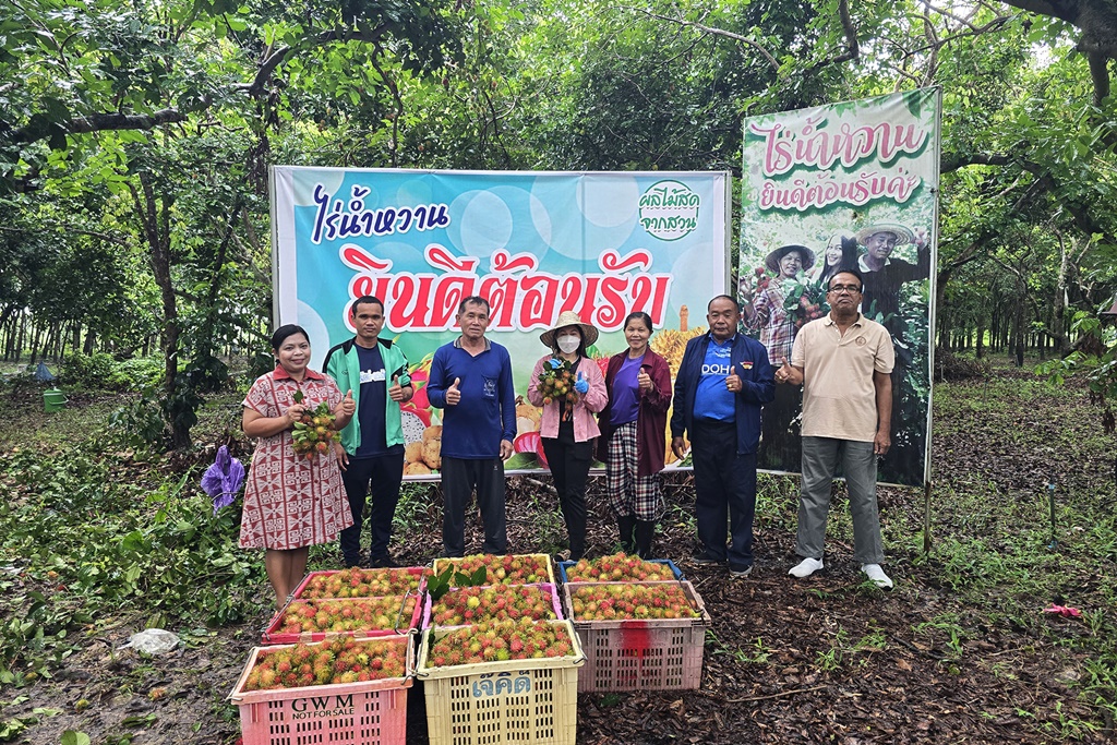 เกษตรกรรัตนวาปี หันปลูกเงาะโรงเรียนกว่า 200 ต้น เก็บขายสร้างรายได้กว่าล้านต่อปี