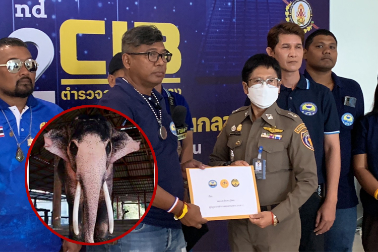 ศปปส.ร้อง ผบช.ก.ตรวจสอบ "พลายเอกชัย" 