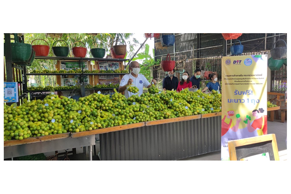 กรมการค้าภายในจับมือ Farm Outlet ทั่วประเทศรับซื้อมะนาว ลดปัญหาราคาตกต่ำ-ล้นตลาดช่วยเกษตรกร