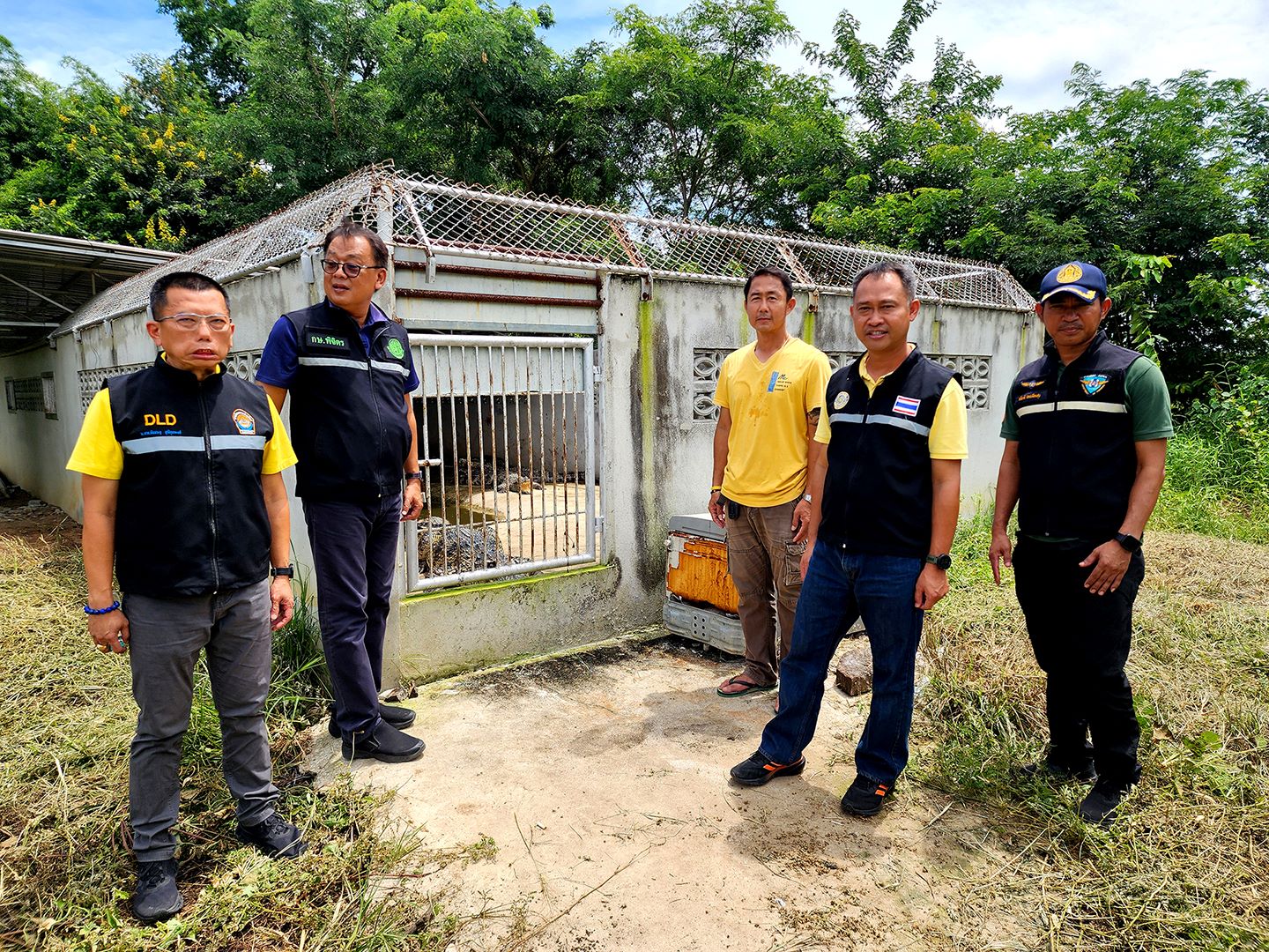 ประมงพิจิตรตรวจเข้มฟาร์มเลี้ยงจระเข้หลังพบลูกหลานมีพัฒนาการต่อตัวปีนรั้วหนีออกจากบ่อเลี้ยง