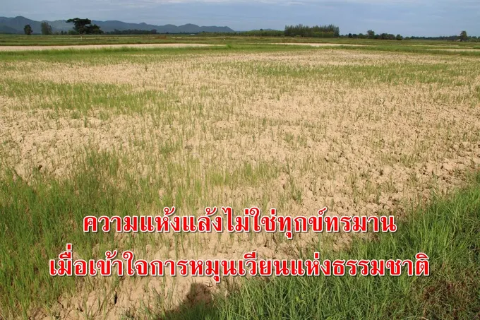 ย่าจันทร์(8)