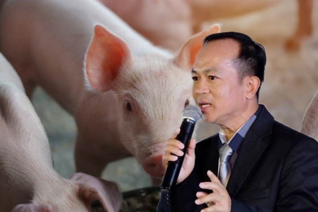 คนเลี้ยงหมู ขอความเห็นใจ “เกษตรกรมีอาชีพเดียว” โอดโรคหมูรุม-น้ำท่วมซ้ำ-ต้นทุนพุ่ง-ขาดทุนสะสมกว่า 3 ปี