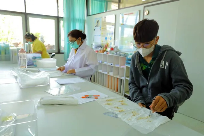 ศมข.พิษณุโลก กับภารกิจผลิตเมล็ดพันธุ์ หนุนโครงการส่งเสริมการเปลี่ยนเมล็ดพันธุ์ข้าว สู่ชาวนา