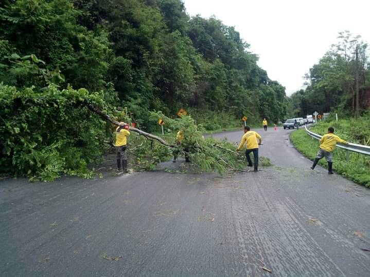 หลังพายุลมฝนหนัก!! หมวดทางหลวงลอง เร่งถางป่า เพิ่มประสิทธิภาพการขับขี่ ทัศนวิสัยการมองเห็น ถนนสายปางเคาะ - ปางมะโอ 