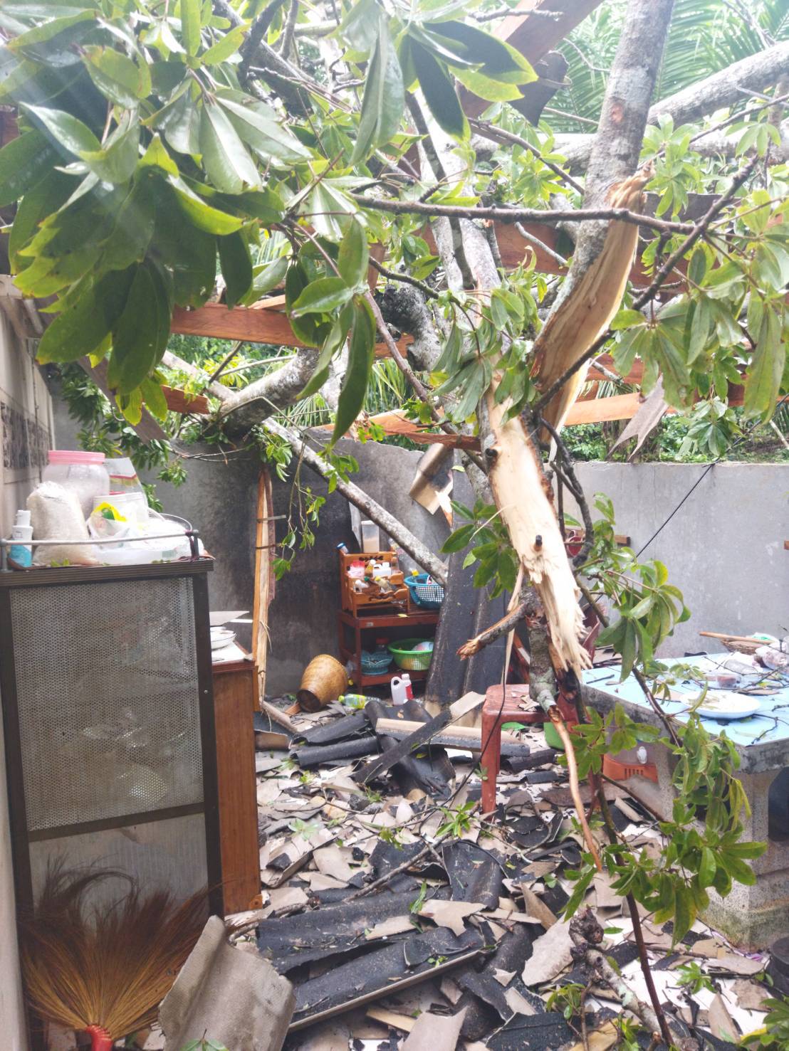 ลมกรรโชกแรง ต้นไม้ใหญ่ล้มทับบ้านพัง   ฝ่ายปกครองมะนังเร่งซ่อมด่วน  