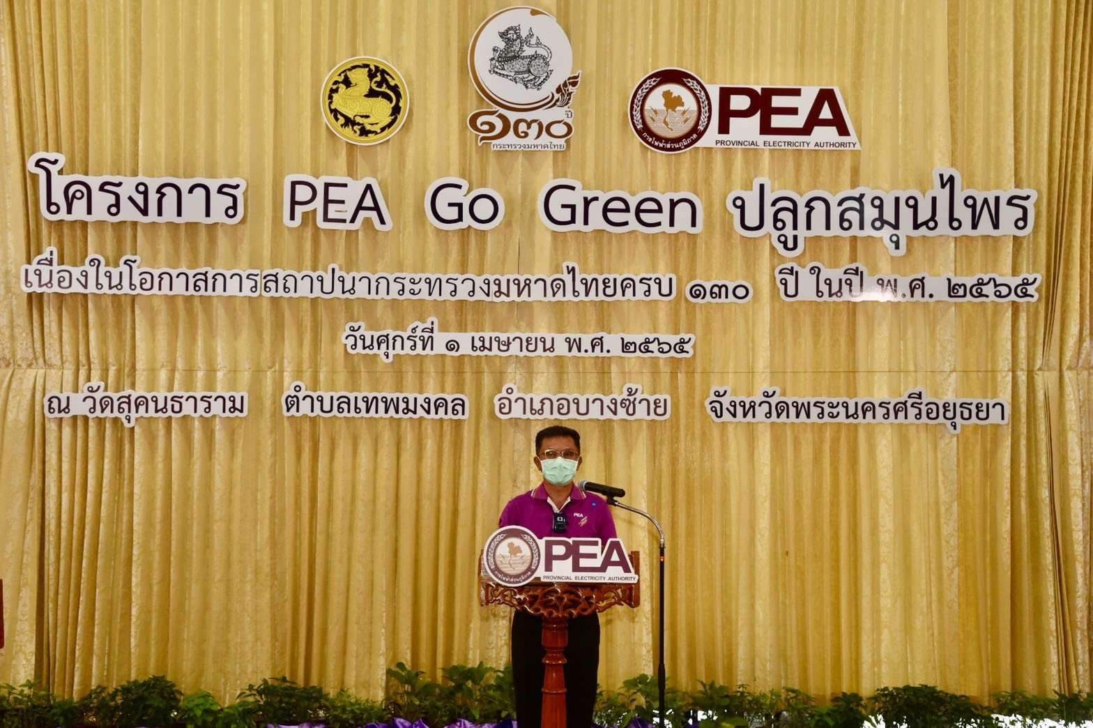 PEA Kick Off โครงการ PEA Go Green ปลูกสมุนไพร
