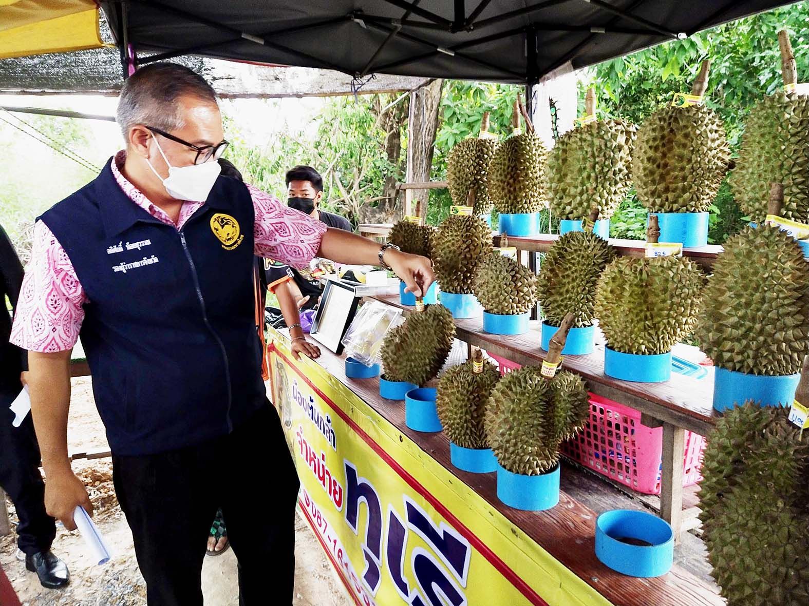 ผู้ว่าฯประจวบสั่งจับกุมร้านค้าสวมรอย  ทุเรียนป่าละอูหลอกขายนทท. 