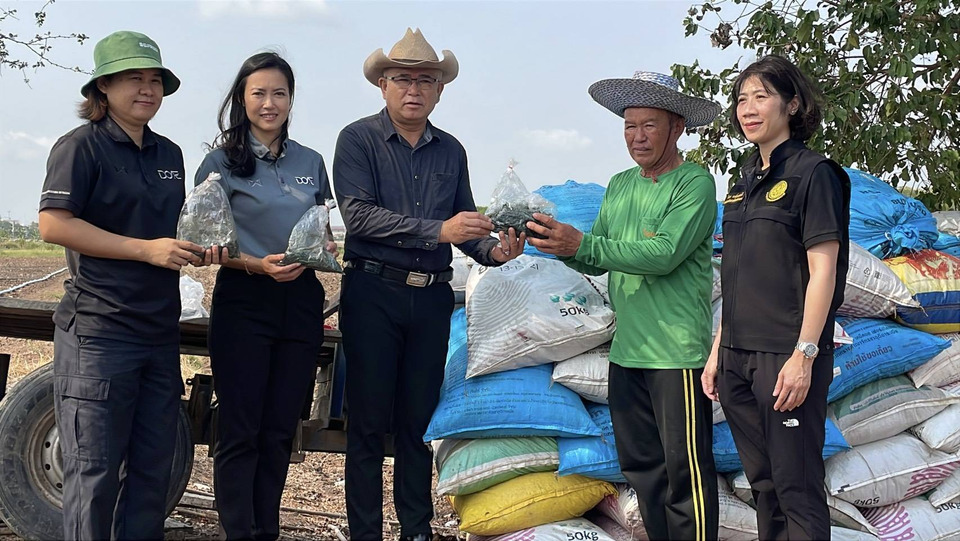 ชาวนาอ่างทองพลิกชีวิต ปรับที่นา 36 ไร่ ปลูก “ผักชี–ถั่วแระ” สร้างรายได้ทั้งปี ต้นทุนลด กำไรเพิ่ม 