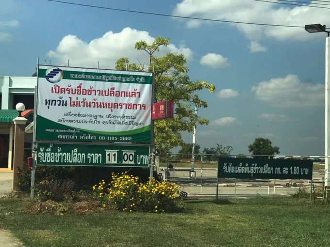สุรินทร์  ตรวจเยี่ยมการรวบรวมข้าวตามโครงการสินเชื่อเพื่อรวบรวมข้าวและสร้างมูลค่าเพิ่มโดยสถาบันการเกษตร 