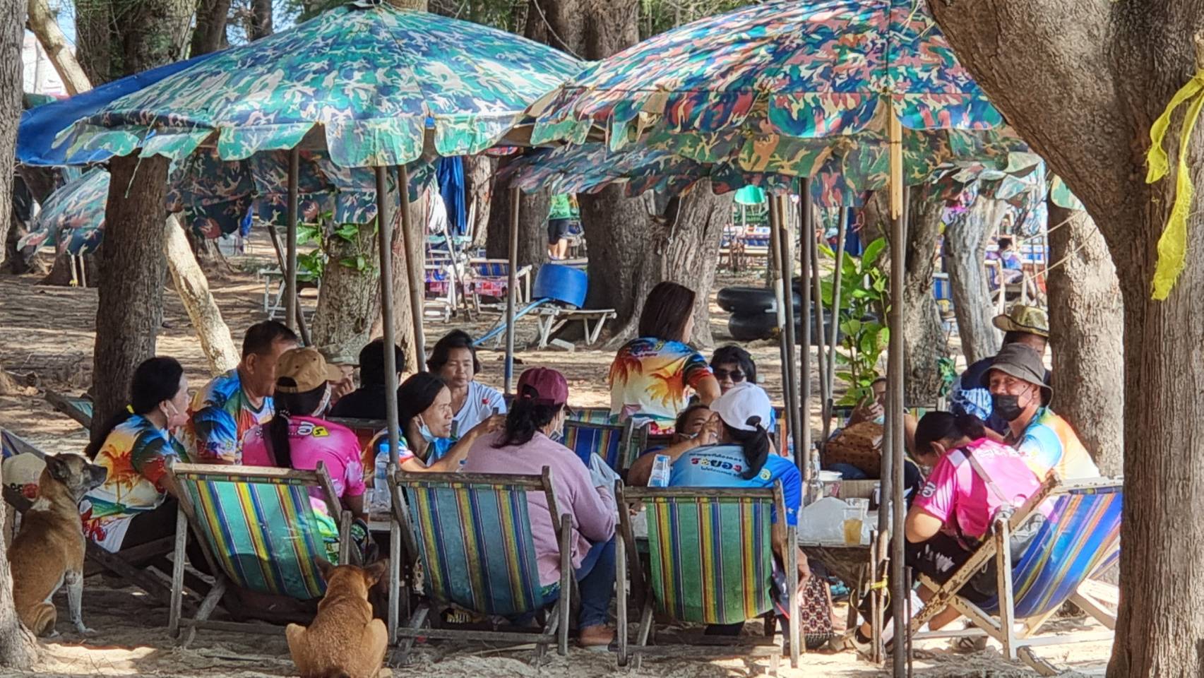 นักท่องเที่ยวเหมารถบัสแห่เที่ยวหาดแม่รำพึงวันหยุดคึกคัก