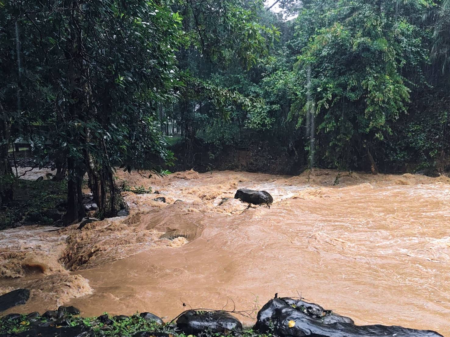 ด่วน! น้ำตกคลองแก้วสั่งปิดหนีภัยวิกฤต ฝนถล่ม ตราด ดินอุ้มไม่อยู่ สะสมทะลุ 163 มม. เตือนมวลน้ำป่าทะลัก