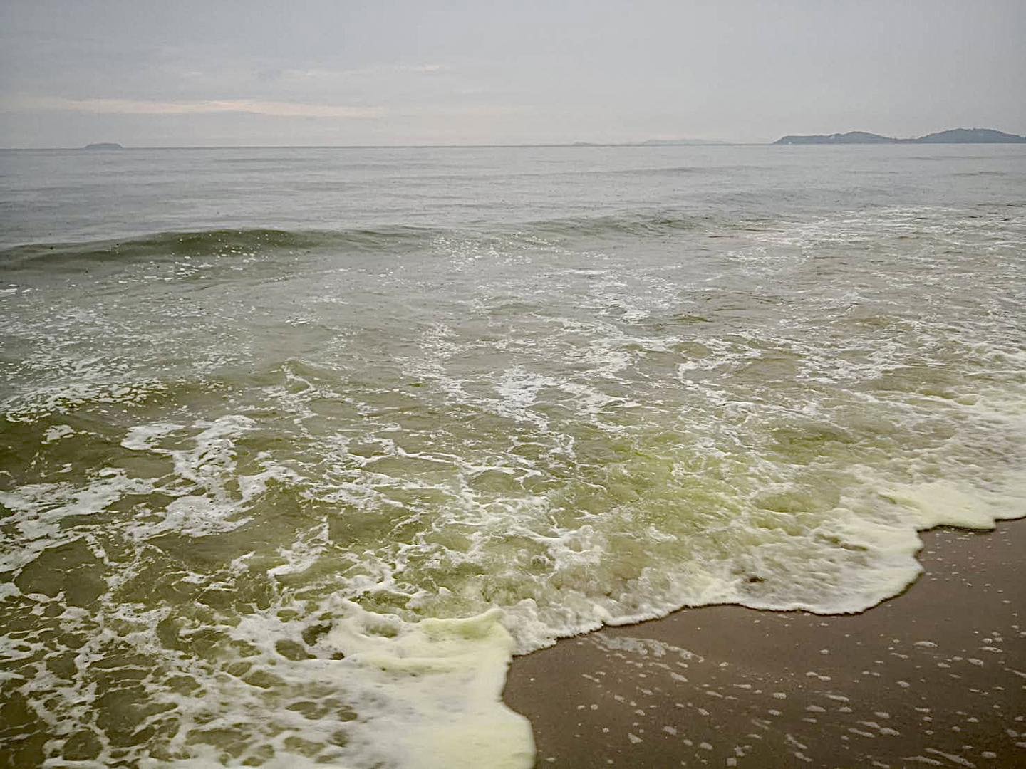น้ำทะเลมีสีเขียว! "กรมทรัพยากรทางทะเลฯ"โพสต์มีกลิ่นเหม็นคาว ชายหาดแหลมแม่พิมพ์