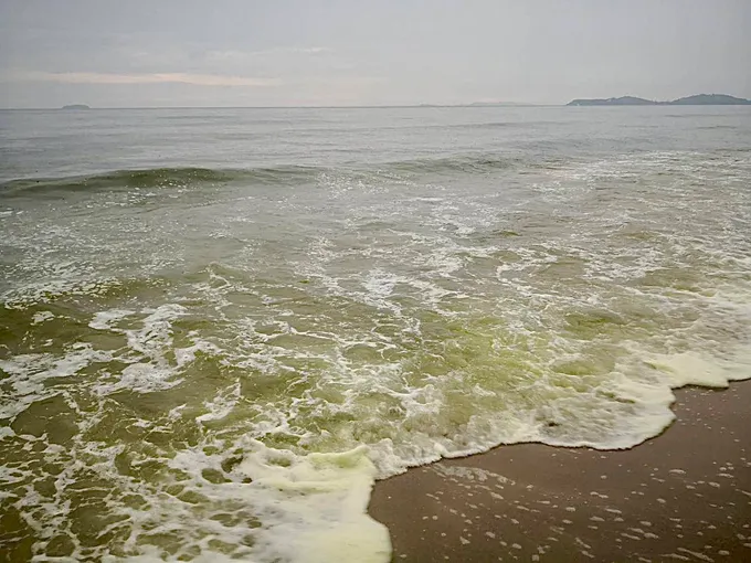 น้ำทะเลมีสีเขียว! "กรมทรัพยากรทางทะเลฯ"โพสต์มีกลิ่นเหม็นคาว ชายหาดแหลมแม่พิมพ์