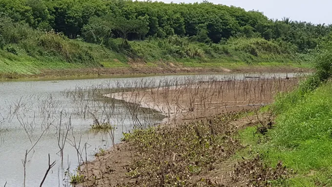 เกษตรกรหวั่นน้ำในเขื่อนปราณบุรีแห้งเกรงจะไม่มีน้ำให้รดผัก