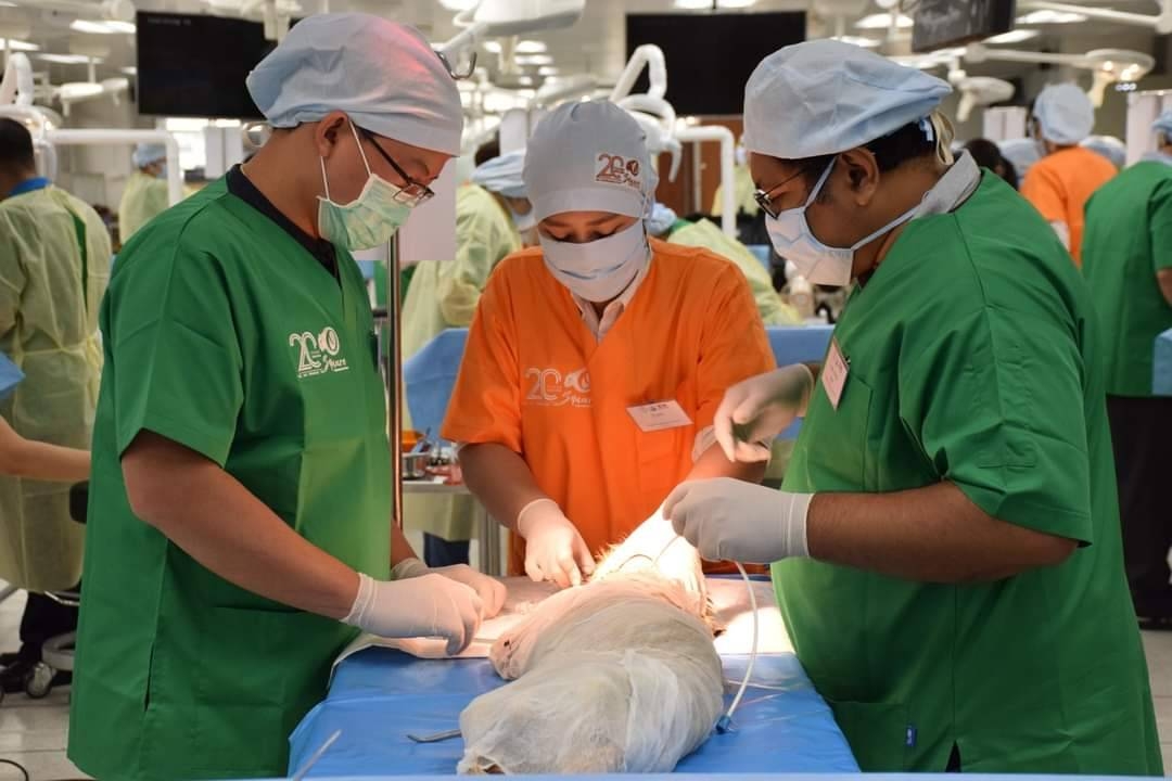 ครั้งแรกในไทย! สัตวแพทย์จุฬาฯ                          คิดสูตรถนอมร่างอาจารย์ใหญ่สี่ขาไร้ฟอร์มาลีน