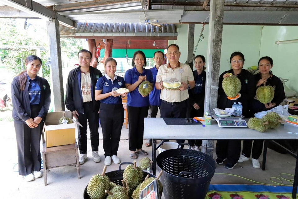 สหกรณ์บุรีรัมย์ ดัน “ทุเรียนน้ำแร่โนนสุวรรณ” ลุยตลาดพรีเมียม ส่งขายเซ็นทรัลฟู้ด 3 ตัน