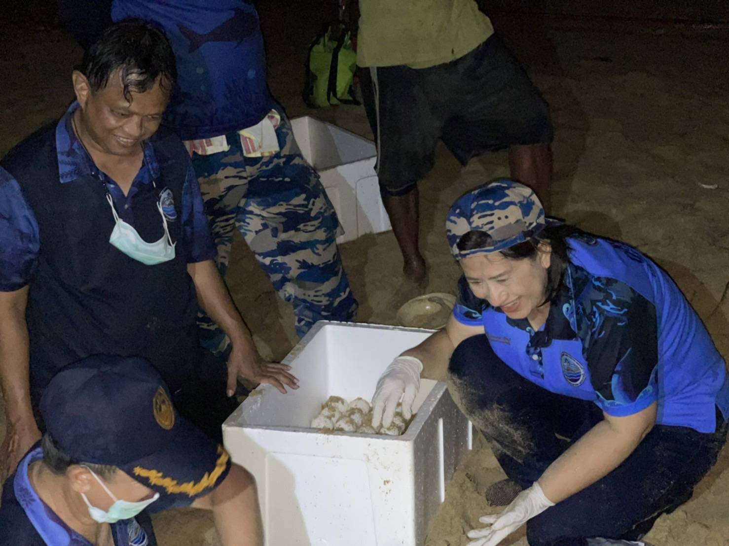 'แม่เต่า​มะเฟือง​'ขึ้นวางไข่​ 138  ฟองรังที่ 4​ ของฤดูกาล​ชายหาดเขาปิหลาย​ 
