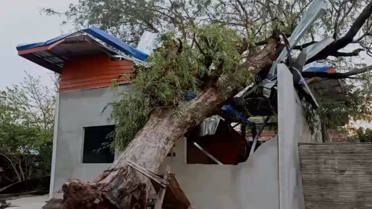 พายุฝนฤดูร้อนถล่มต้นไม้ล้ม-บ้านพังที่ อ.สุวรรณภูมิ ร้อยเอ็ด
