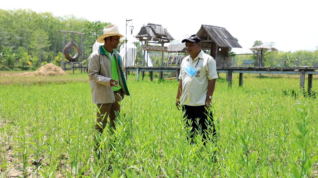 หมอดินอาสาตำบลปริก ผันชีวิตจากหนุ่มวิศวกร สู่เกษตรกรเต็มตัว