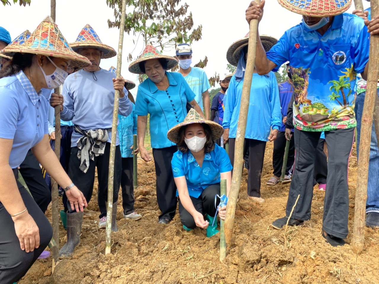 ประธานกมธ.การเกษตรและสหกรณ์นำปลูกข้าวไร่ดอกข่า สร้างแหล่งเรียนรู้แบบพอเพียง โดยยึดหลักศาสตร์พระราชา
