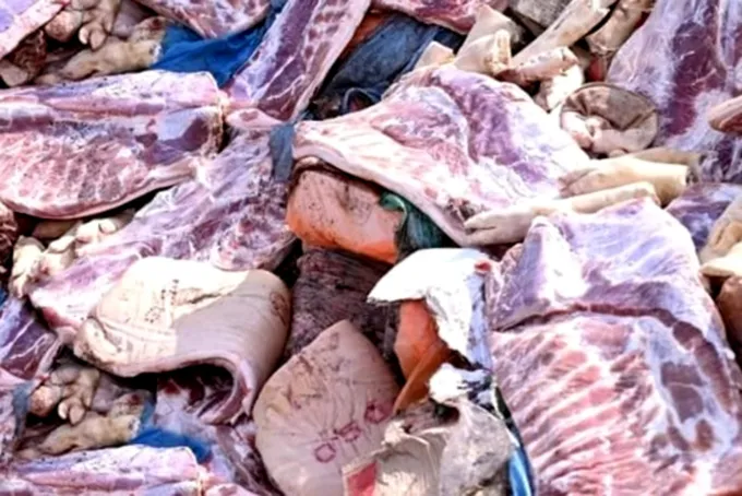 “หมูเถื่อน” ตามหลอนผู้เลี้ยง รัฐต้องเร่งยกระดับกวาดล้าง