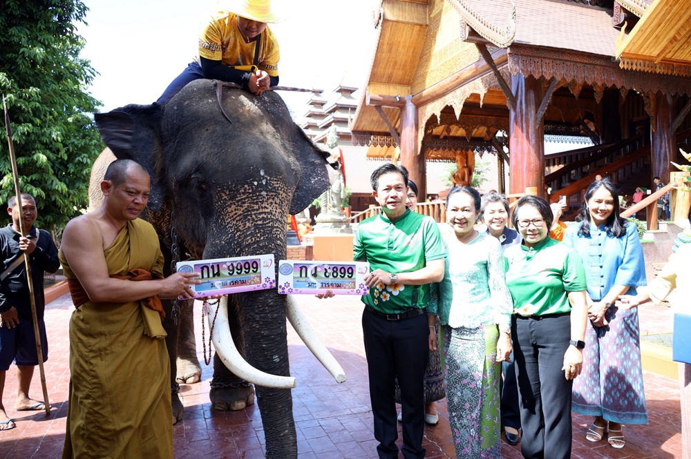 เกจิดัง ประกอบพิธีมังคลาภิเษก พร้อม "พลายชัย" ร่วมเจิมแผ่นป้ายทะเบียนเลขสวย ก่อนเปิดประมูล