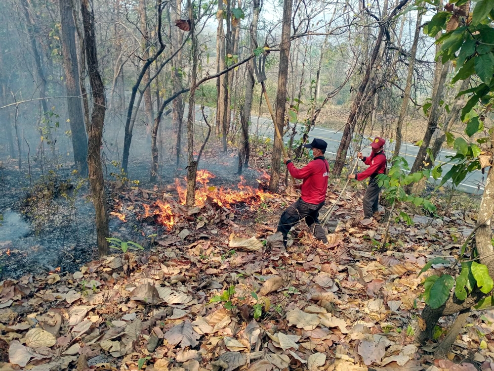 วิกฤตหนัก! ไฟป่าปะทุ 135 จุด มลพิษพุ่งลอยเต็มท้องฟ้า 