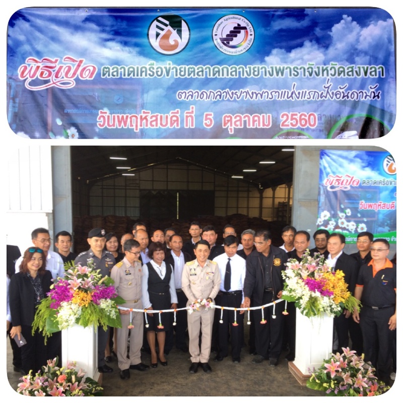 สหกรณ์การเกษตรย่านตาขาว จำกัด จับมือ กยท.ตรัง เปิดตลาดกลางยางพารา รวบรวมผลผลิตยางจากสมาชิก