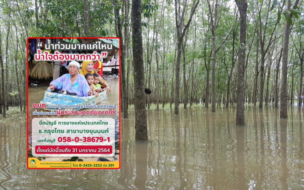 กยท. เร่งสำรวจความเสียหายน้ำท่วมสวนยาง เยียวยาเกษตรกรรายละ 3 พัน