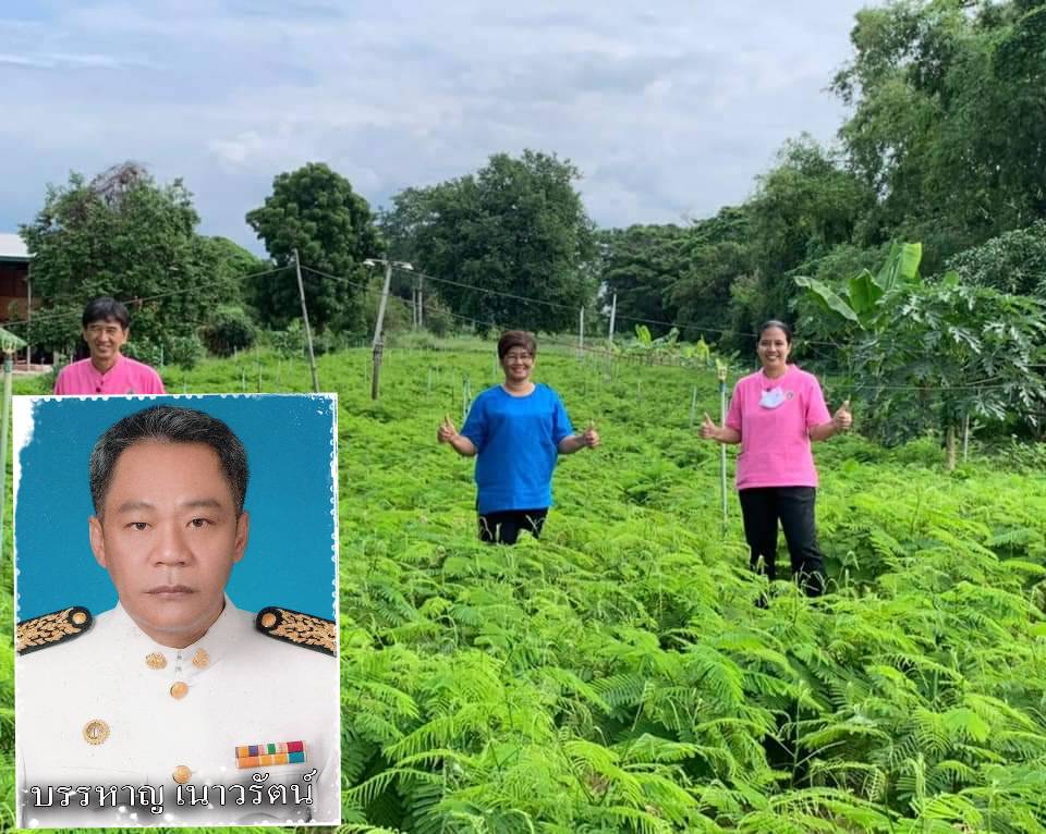อบต.โก่งธนู  ติดตามผล "ถังขยะเปียกลดโลกร้อน" หมักปุ๋ย สู่แปลงผัก "บ้านนี้มีรัก  ปลูกผักกินเอง"  สามารถใช้ในการปลูกผักได้ดี 