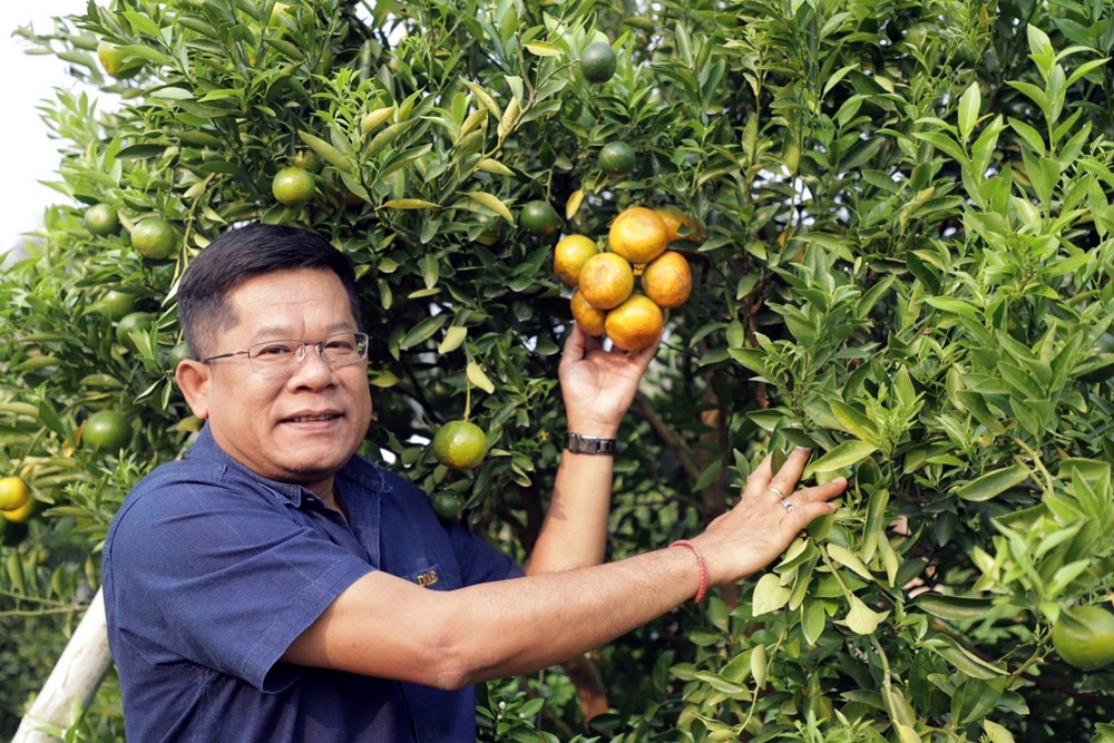 กสก. ยกแปลงใหญ่ส้มฝางต้นแบบ "เกษตรปลอดภัย"