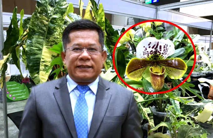 กสก.เสริมแกร่งไม้แปลก-ไม้หายาก ดันไทย "ศูนย์กลางส่งออกโลก"  
