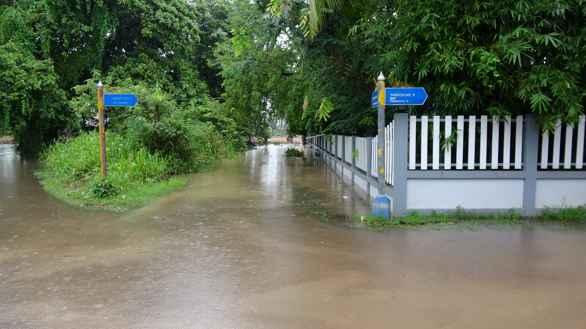 ทุบสถิติ! หนองคายฝนตกหนักน้ำโขงสูงสุดในรอบปี
