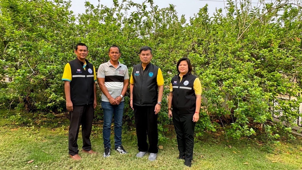 กรมหม่อนไหม หนุนเกษตรกรลำพูนปลูกหม่อนผลสด แปรรูปเป็นไวน์หม่อนเพิ่มมูลค่า 