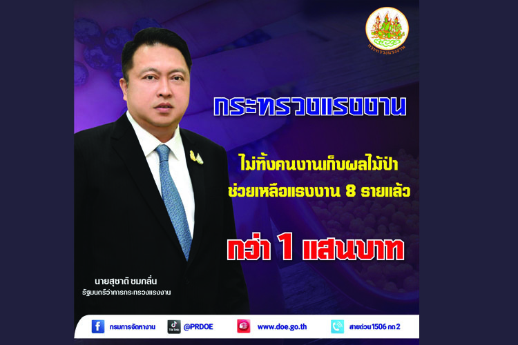 หมดห่วง!! รมว.เฮ้ง สั่ง จ่ายเงินประกันรายได้แรงงานเก็บเบอร์รี่แล้วกว่าแสนบาท