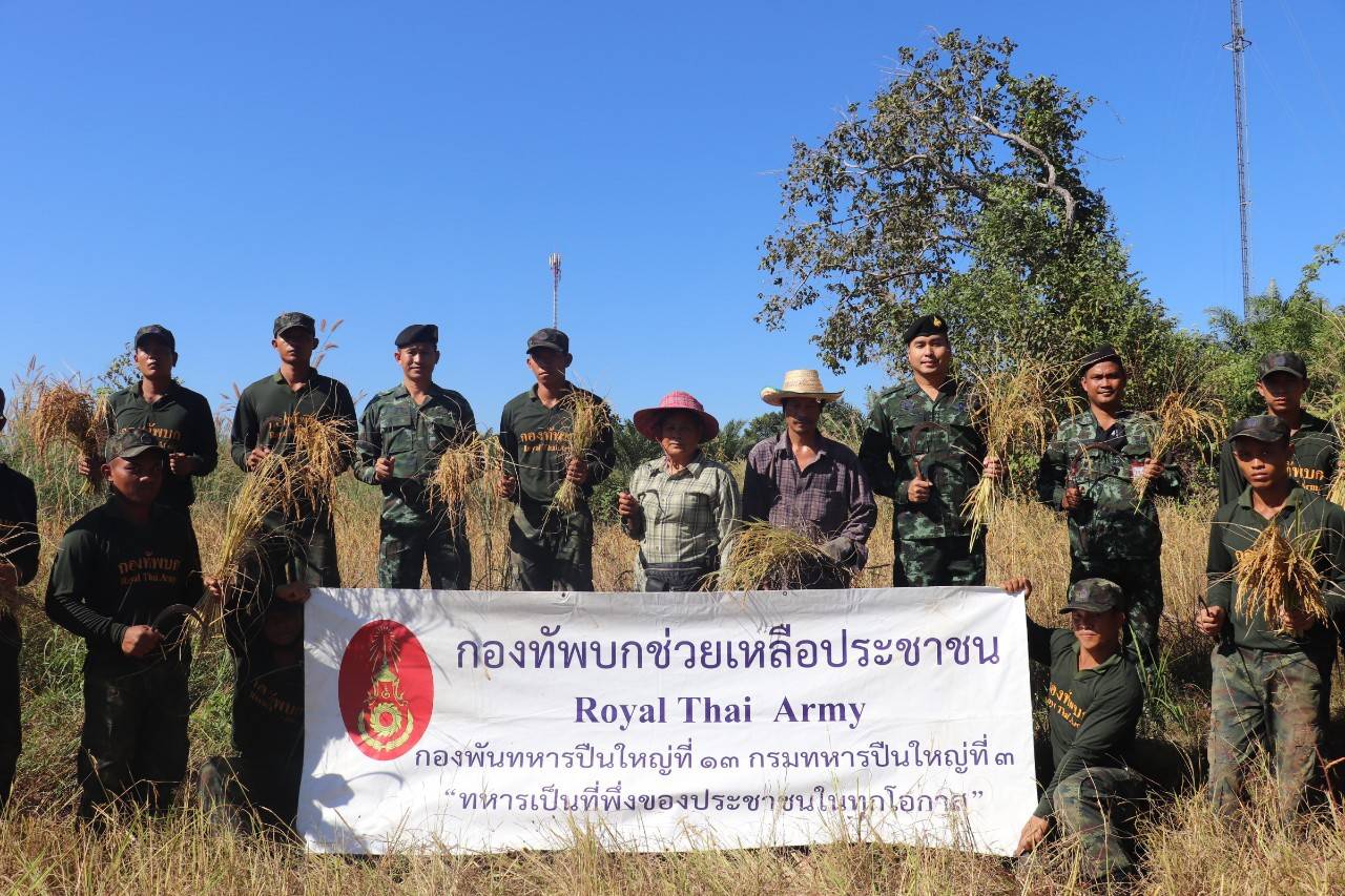 กองพันทหารปืนใหญ่ที่ 13 กรมทหารปืนใหญ่ที่ 3 นำกำลังพลจับเคียว ช่วยชาวนาเกี่ยวข้าวที่ ต.สร้อยพร้าว อ.หนองหาน จ.อุดรธานี