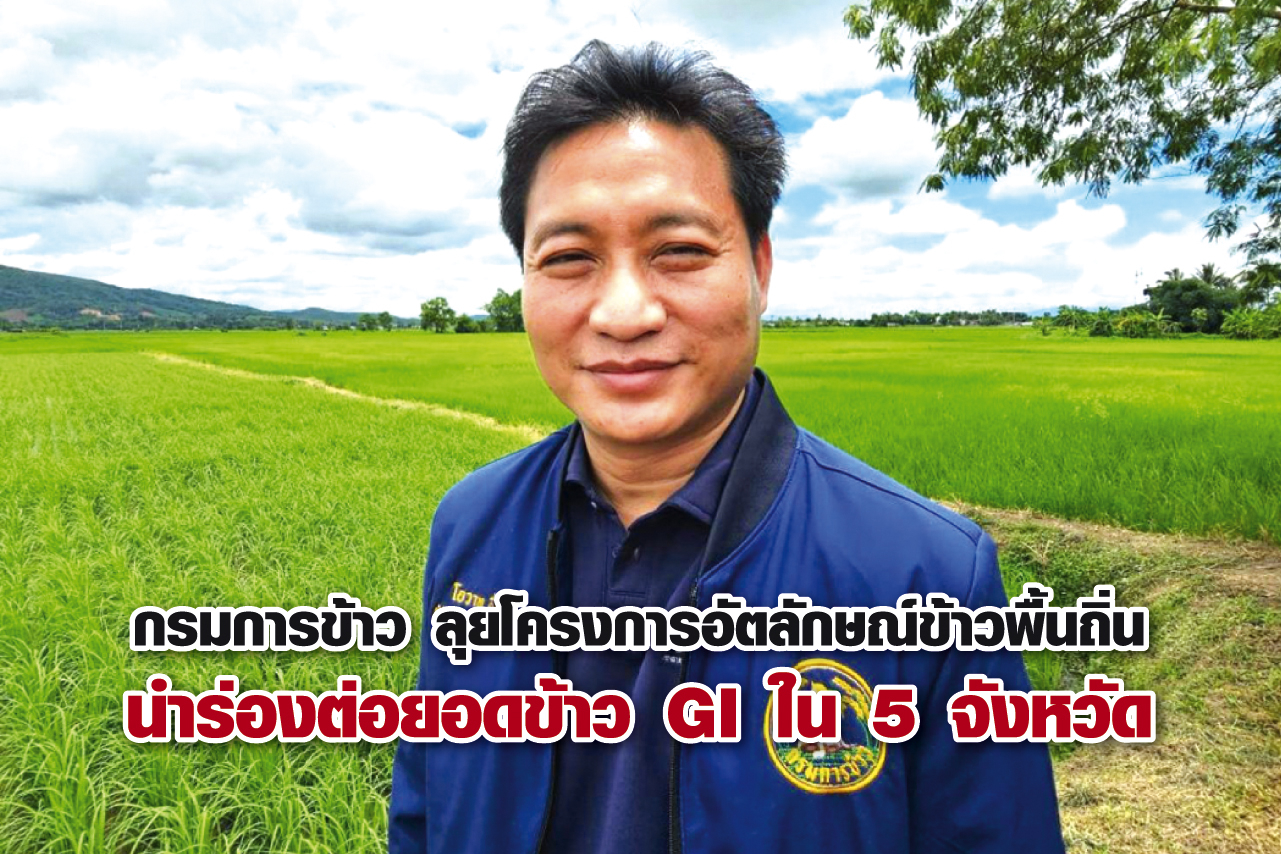 กรมการข้าว ลุยโครงการอัตลักษณ์ข้าวพื้นถิ่น นำร่องต่อยอดข้าว GI ใน 5 จังหวัด