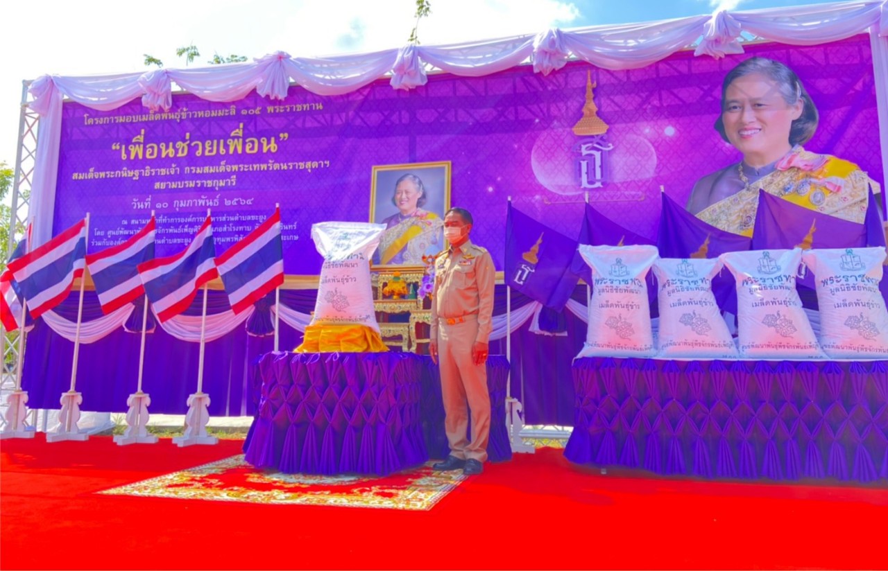 ผวจ.ศรีสะเกษมอบเมล็ดพันธุ์ข้าวหอมมะลิ 105 พระราชทาน “เพื่อนช่วยเพื่อน” โดยมูลนิธิชัยพัฒนา ในสมเด็จพระกนิษฐาธิราชเจ้า     