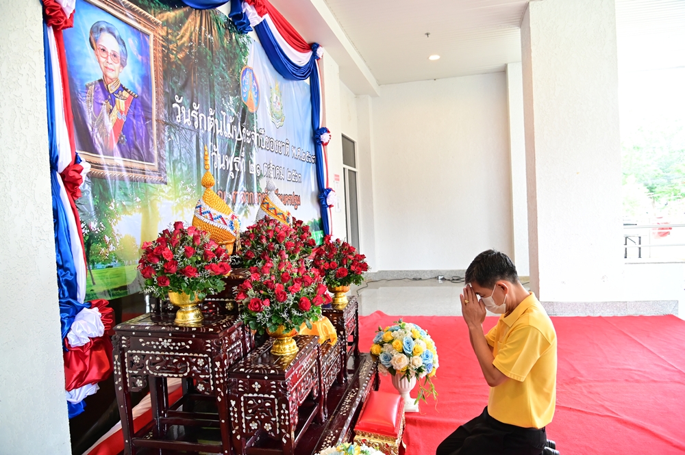 นครปฐม จัดกิจกรรมปลูกต้นไม้ เนื่องในวันรักต้นไม้ประจำปีของชาติ ประจำปี 2563 เพื่อน้อมรำลึกในพระมหากรุณาธิคุณของสมเด็จย่า