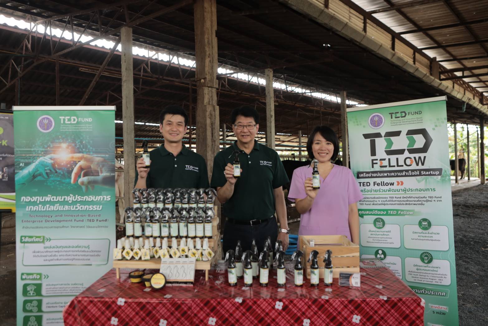 "เทคฟันด์"หนุนพัฒนาผลิตภัณฑ์ “NaNo-k  จากขมิ้นชัน แก้ปัญหา “โรคลัมปีสกิน -ปากเท้าเปื่อย” ในโคนมและโคเนื้อ 