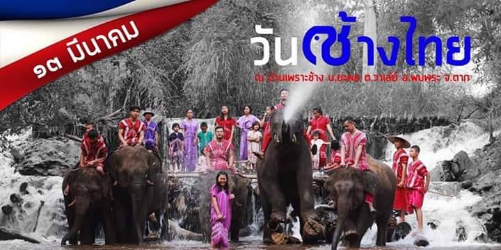 "วันช้างไทย" อนุรักษ์ช้างไทย วิถีไทย มรดกโลก ที่บ้านเพราะช้าง-ยะพอ เมืองเพอะพะ (พบพระ)