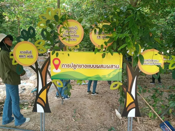 ส่องกลุ่มเกษตรกรยางพาราตำบลบ้านแก้ง เดินหน้าส่งเสริมอาชีพเสริมรายได้สมาชิก