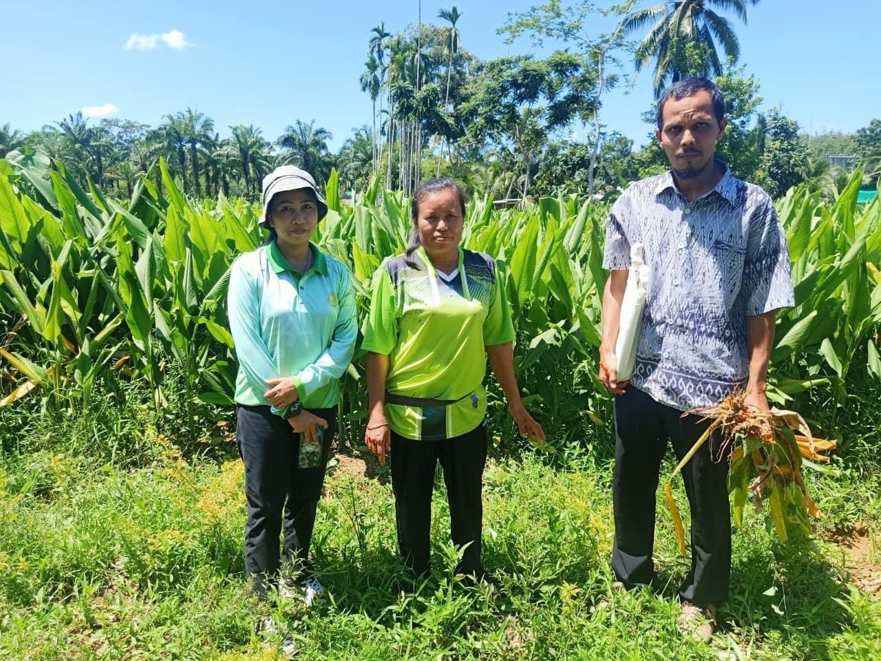 เกษตรจังหวัดสตูล ติดตามโครงการส่งเสริมการผลิตสินค้าเกษตรตามศักยภาพของพื้นที่