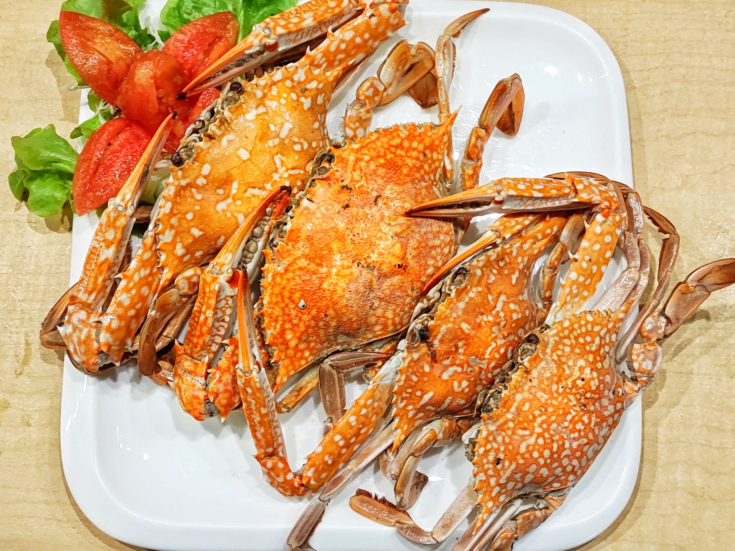 ยกทะเล ชาวประมงพื้นบ้าน มาไว้ริมโขง ที่ The Sea Bar  ท่าบ่อ หนองคาย