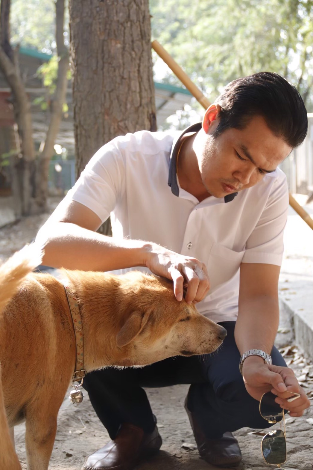 สมาคมป้องกันการทารุณสัตว์ รณรงค์ป้องกันโรคพิษสุนัขบ้า 