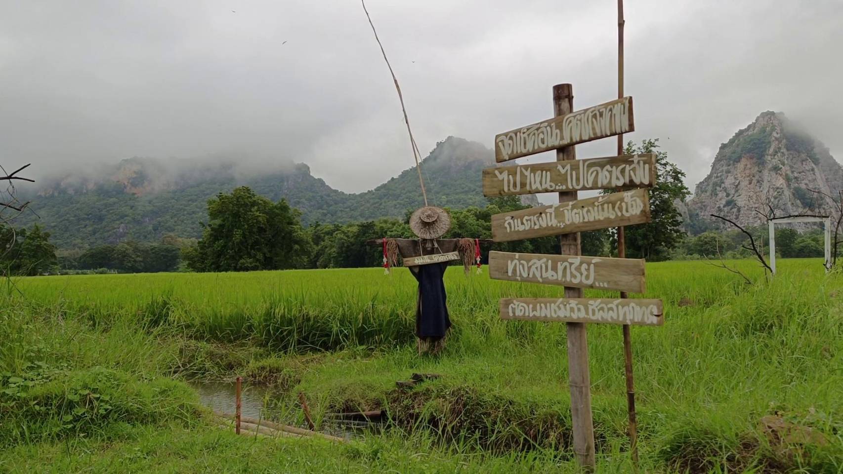 จิบกาแฟดริป ริมทุ่งนา ชมหมอกยอดเขางู แลนด์มาร์คราชบุรี