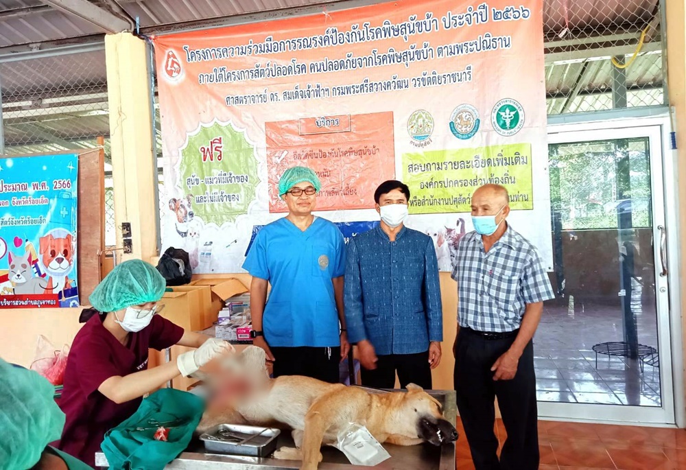 ปศุสัตว์ร้อยเอ็ด ร่วมกับ อบต.ภูเขาทอง รณรงค์ป้องกันโรคพิษสุนัขบ้าตามพระปณิธาณ
